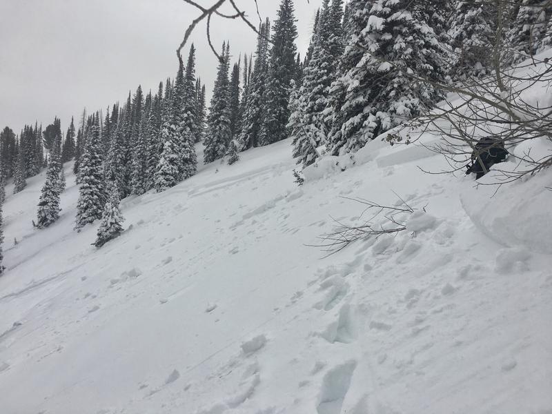 Accident: Electric Lake - Utah Avalanche Center