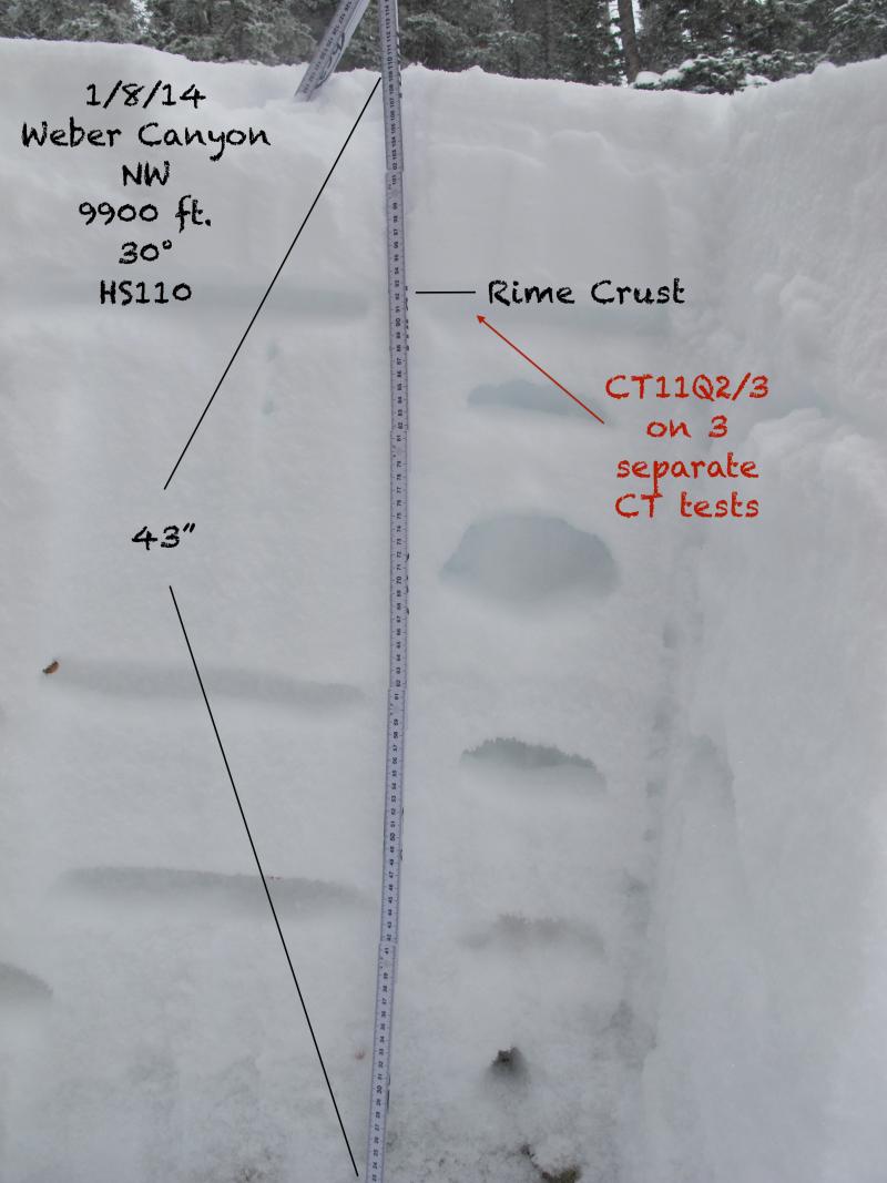 Observation photo 1