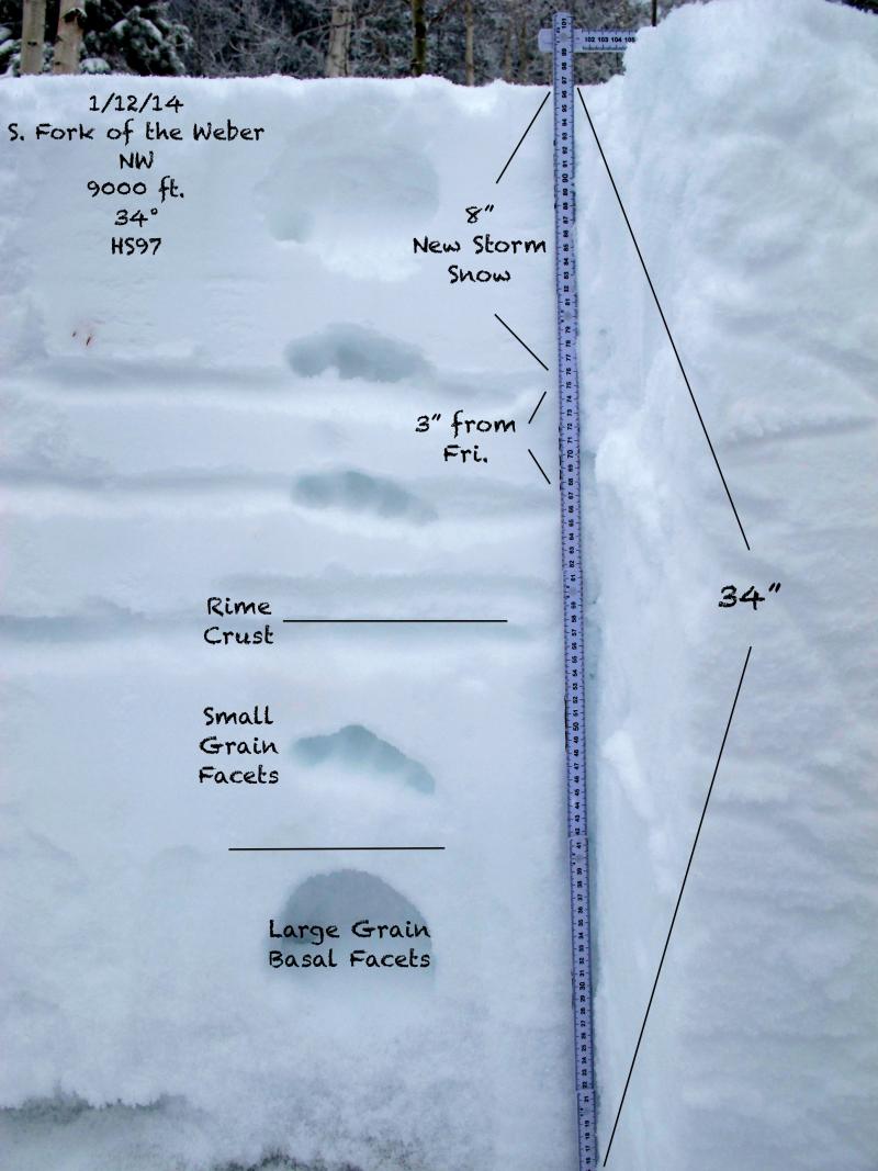 Observation photo 1