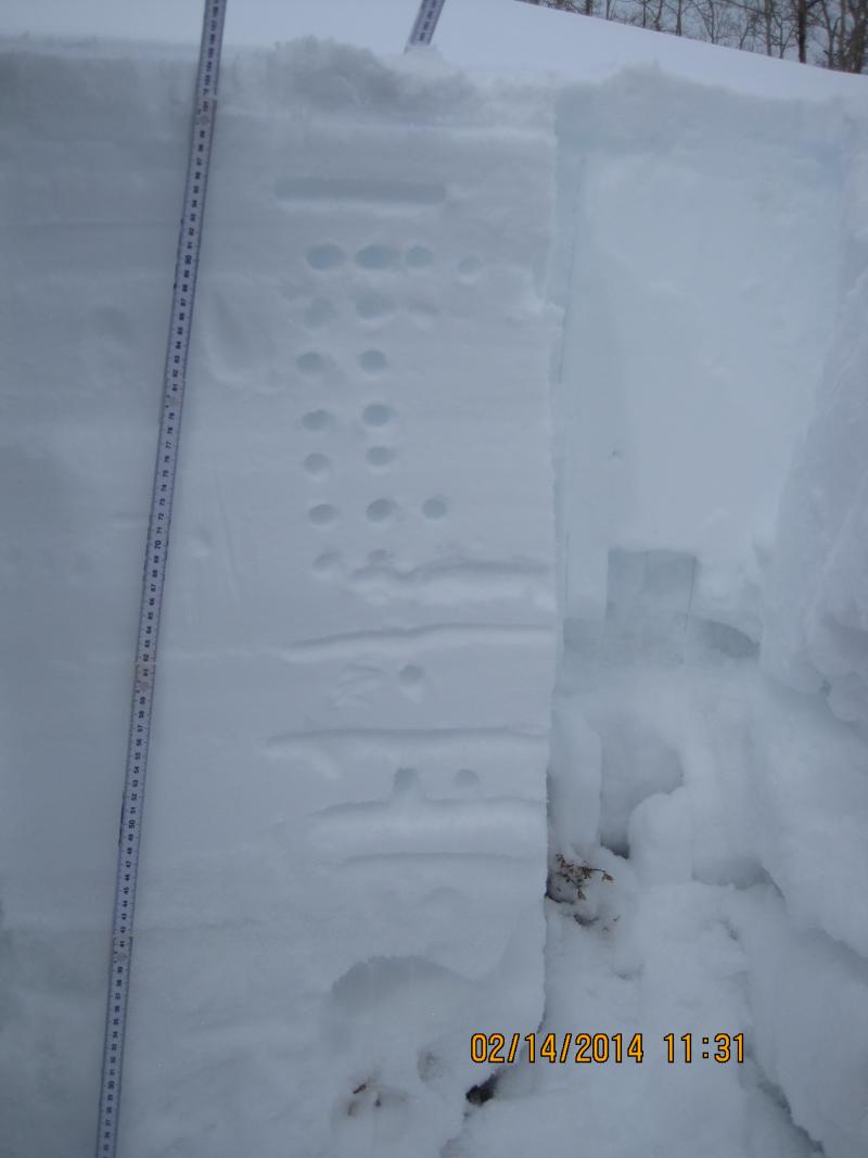Observation photo 1