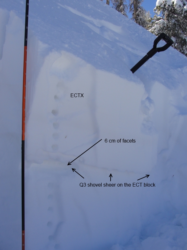 Observation photo 1