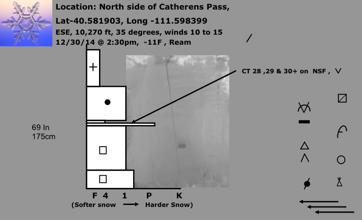 Observation photo 1