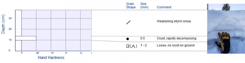 Observation photo 1