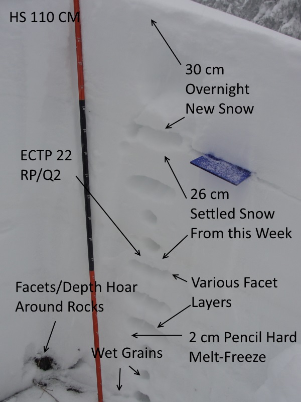 Observation photo 1
