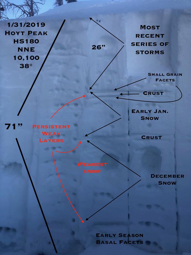 Observation photo 1