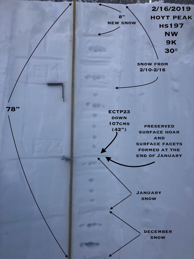 Observation photo 1