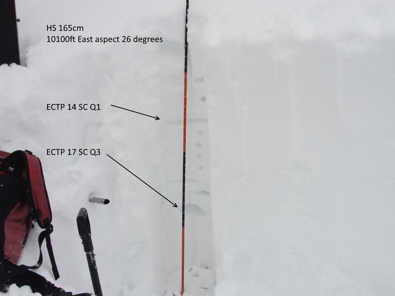 Observation photo 1