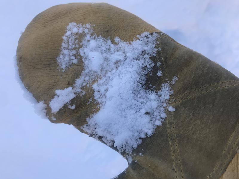 Observation photo 1