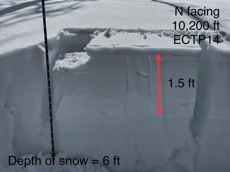 Observation photo 1