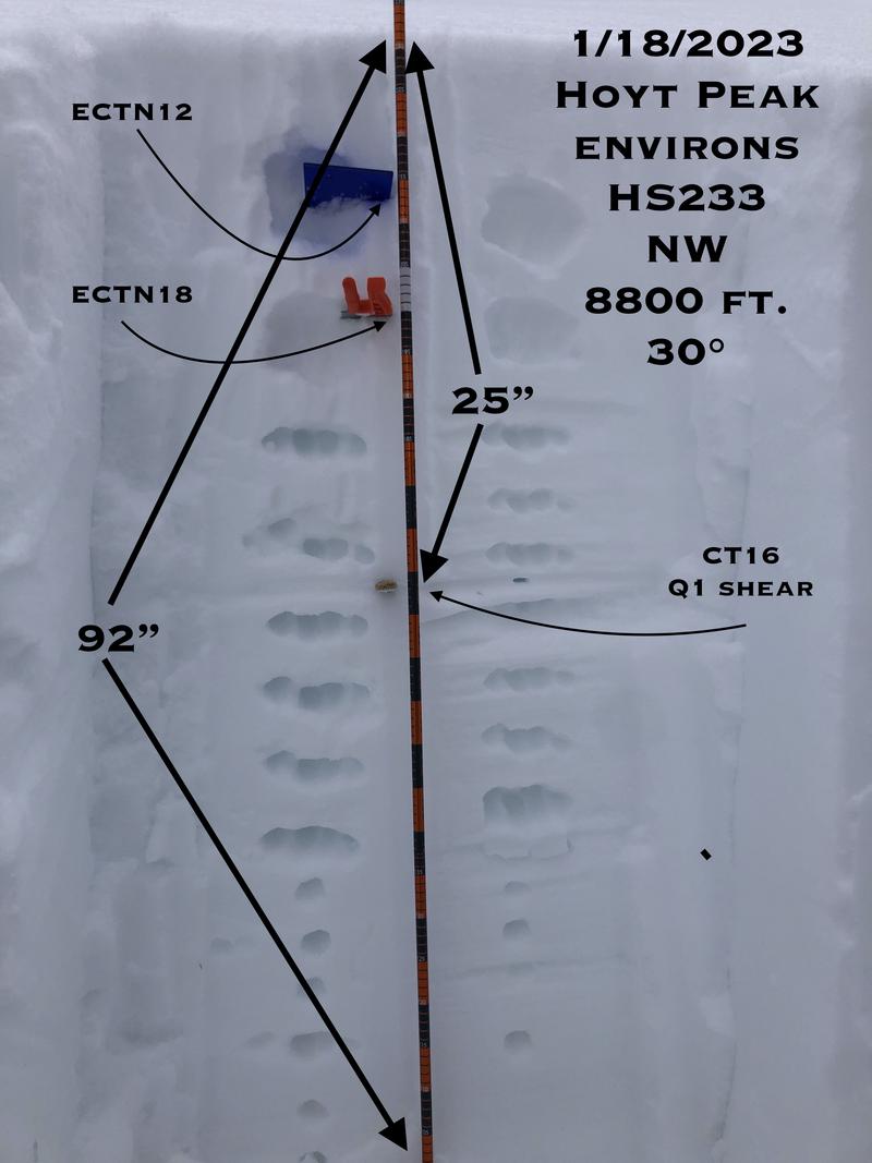 Observation photo 1