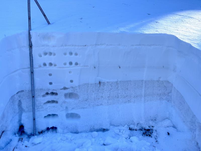 Moderate Danger With a Persistent Weak Layer - Utah Avalanche Center