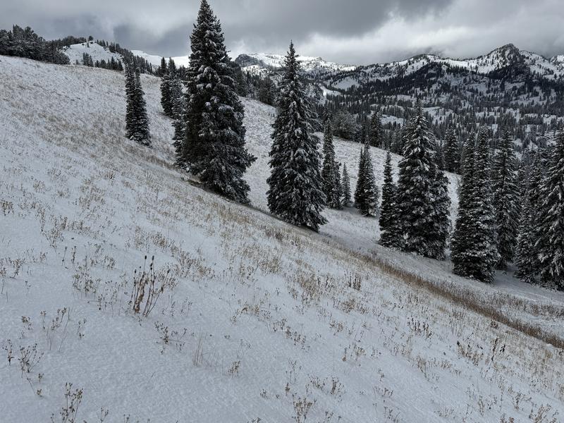 https://utahavalanchecenter.org/sites/default/files/images/observations/2025-26/IMG_3178.JPG