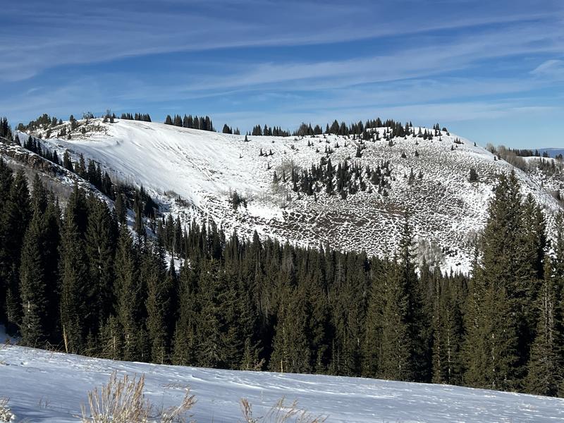 Snow coverage showing more snow on northerly aspects and less snow on southerly aspects.