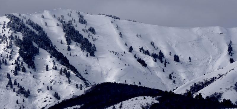 Avalanche: Rattlesnake Canyon - Utah Avalanche Center