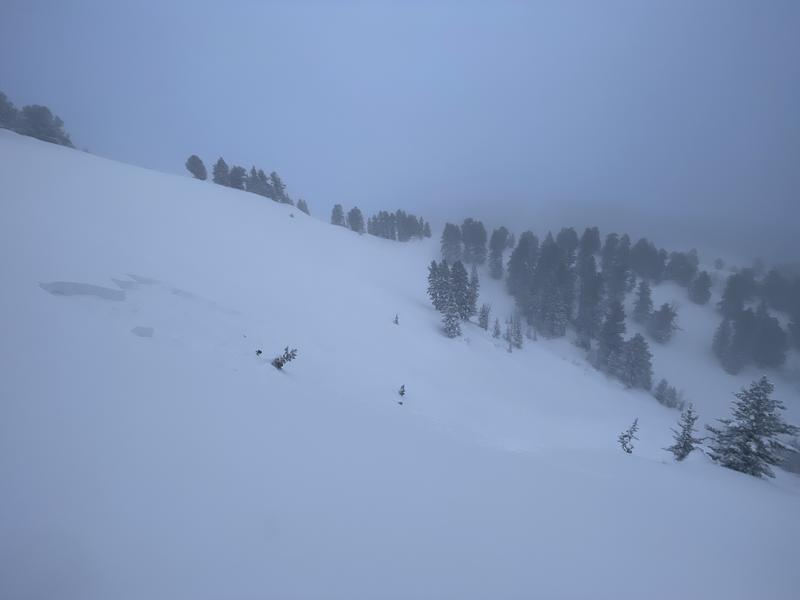 Avalanche: Mount Naomi Wilderness - Utah Avalanche Center