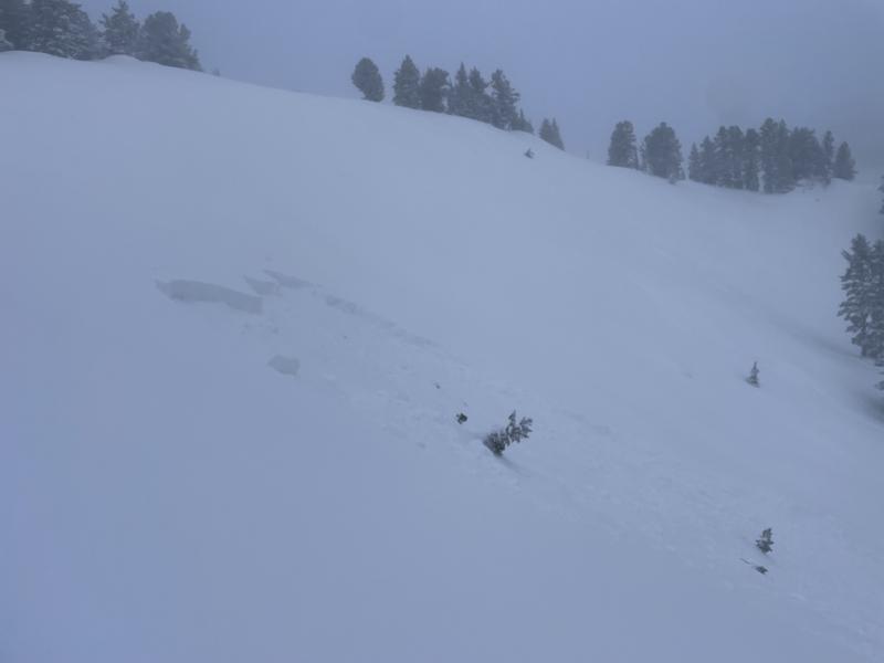 Avalanche: Mount Naomi Wilderness - Utah Avalanche Center